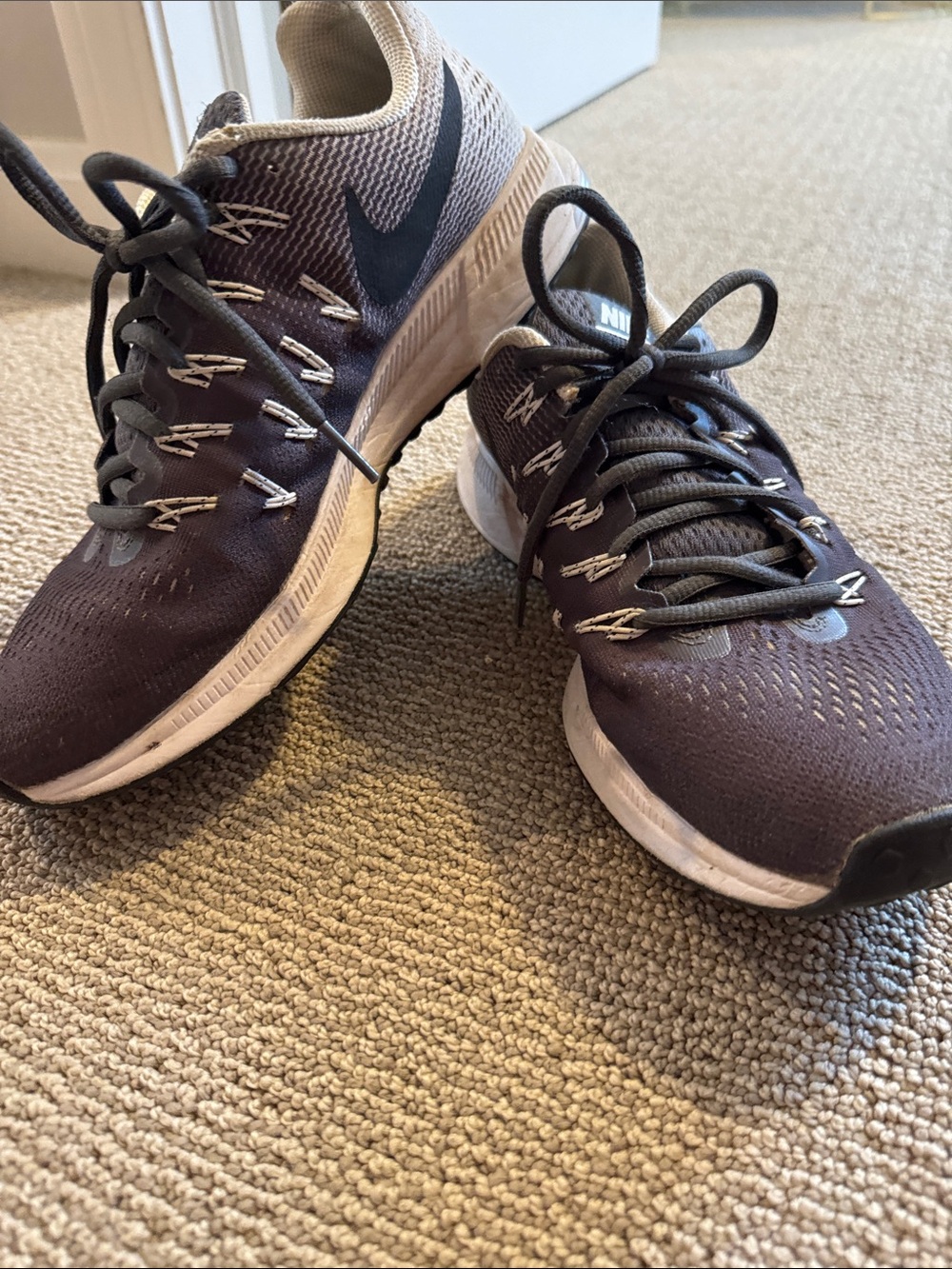 Nike Zoom Pegasus 33